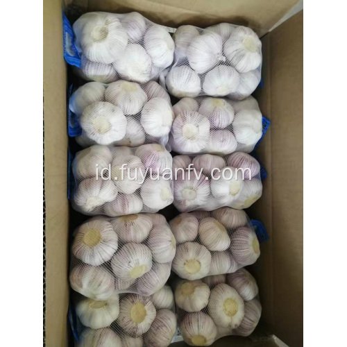 Jual bawang putih putih normal